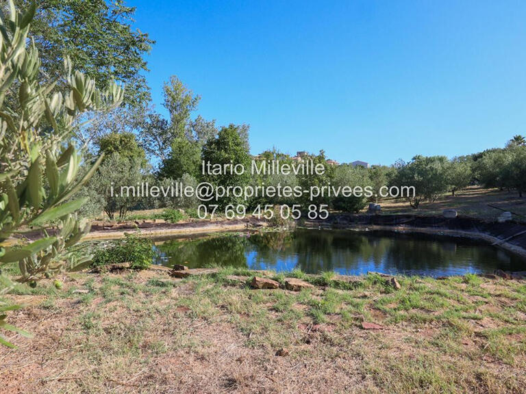 House Pézenas - 4 bedrooms