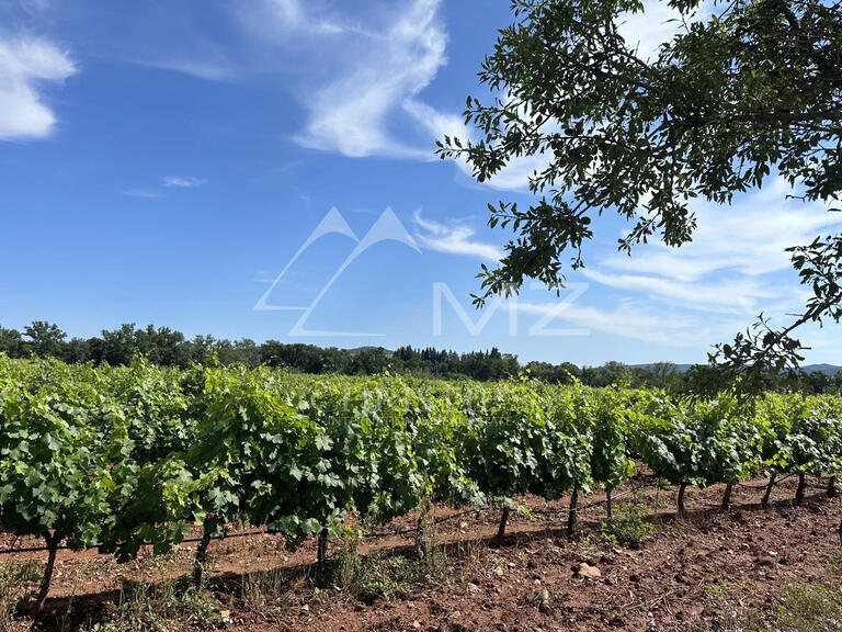 Vineyard Pierrefeu-du-Var - 875m²