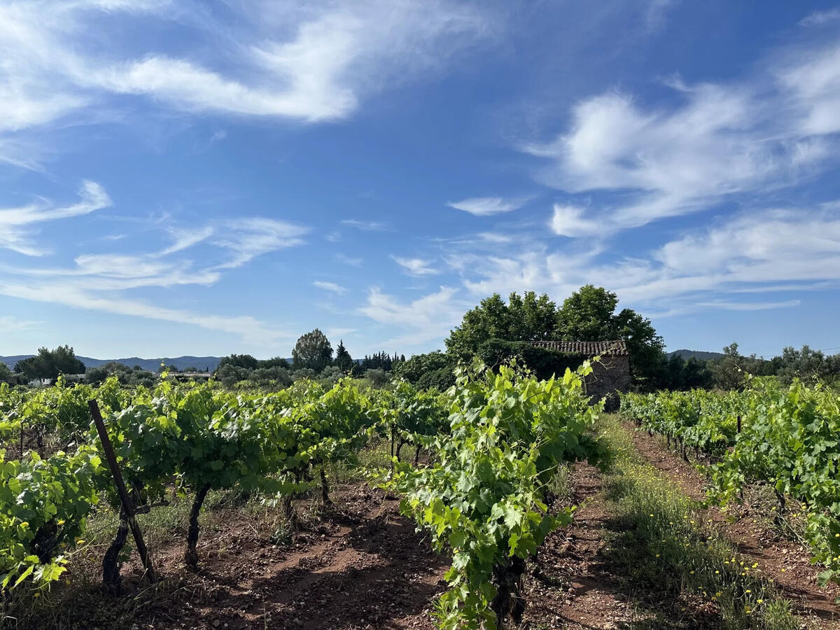 Domaine viticole Pierrefeu-du-Var