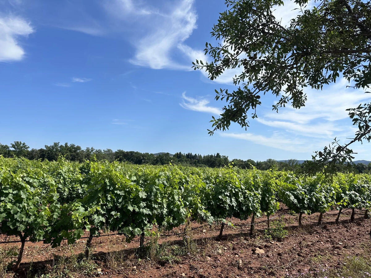 Domaine viticole Pierrefeu-du-Var