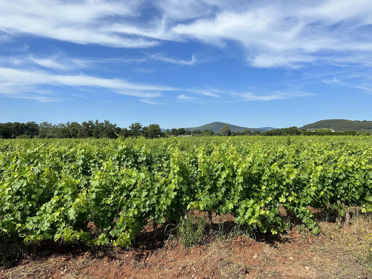 Domaine viticole Pierrefeu-du-Var