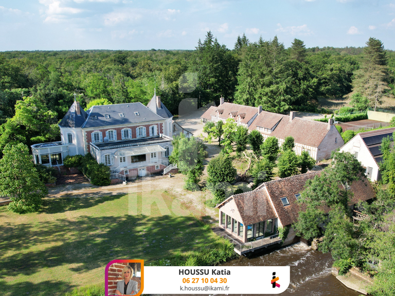 House Pierrefitte-sur-Sauldre - 6 bedrooms - 1200m²