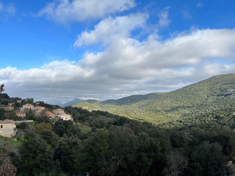 Vente Maison Pietrosella - 4 chambres