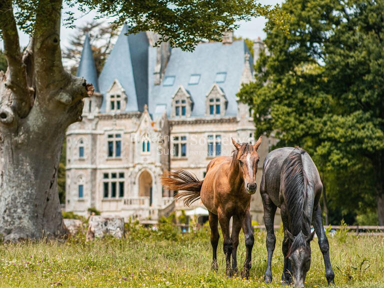 Château Plaudren - 13 chambres - 900m²