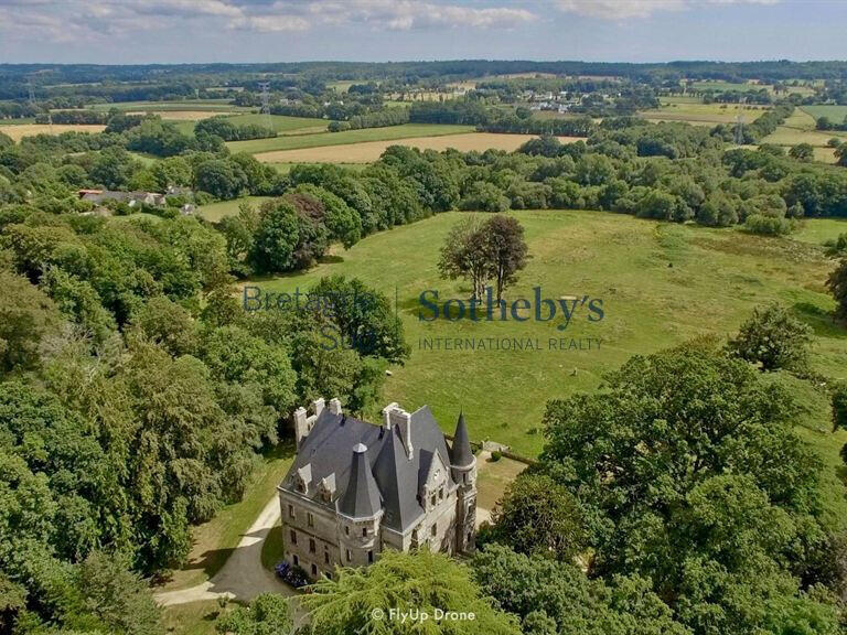 Château Plaudren - 13 chambres - 900m²