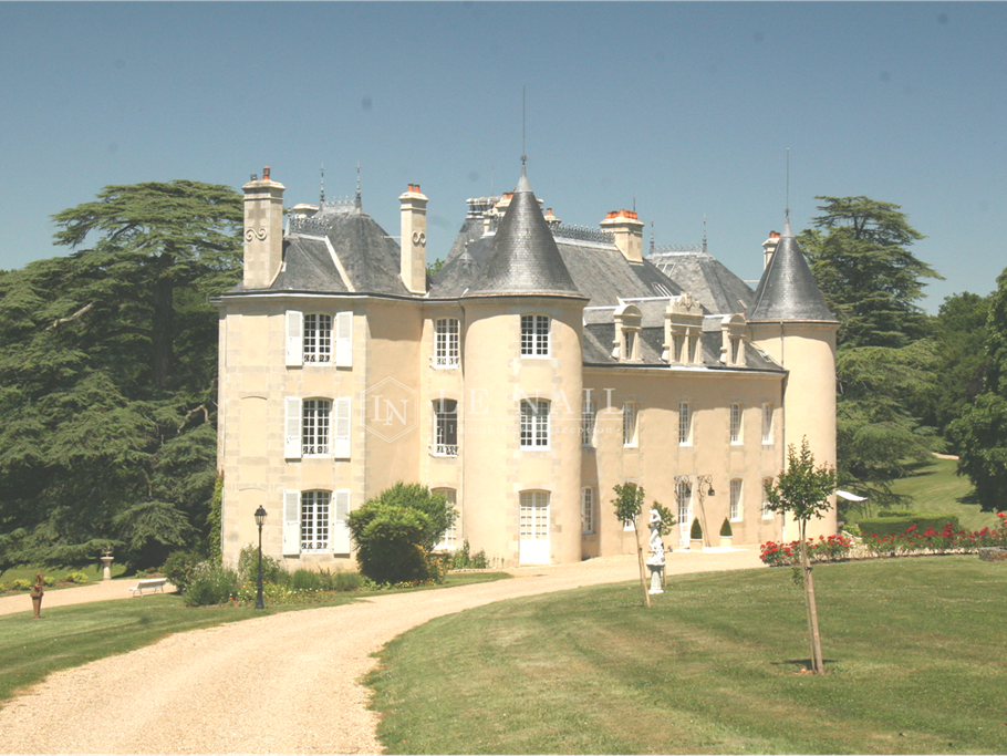 Castle Poitiers