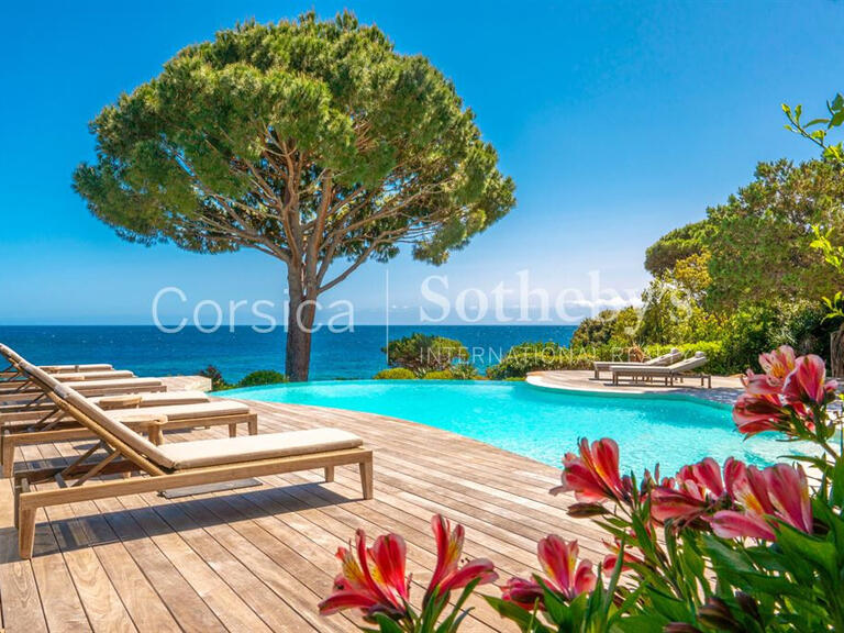 House Porto-Vecchio - 5 bedrooms - 330m²