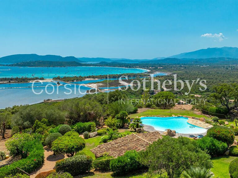 House Porto-Vecchio - 4 bedrooms - 350m²