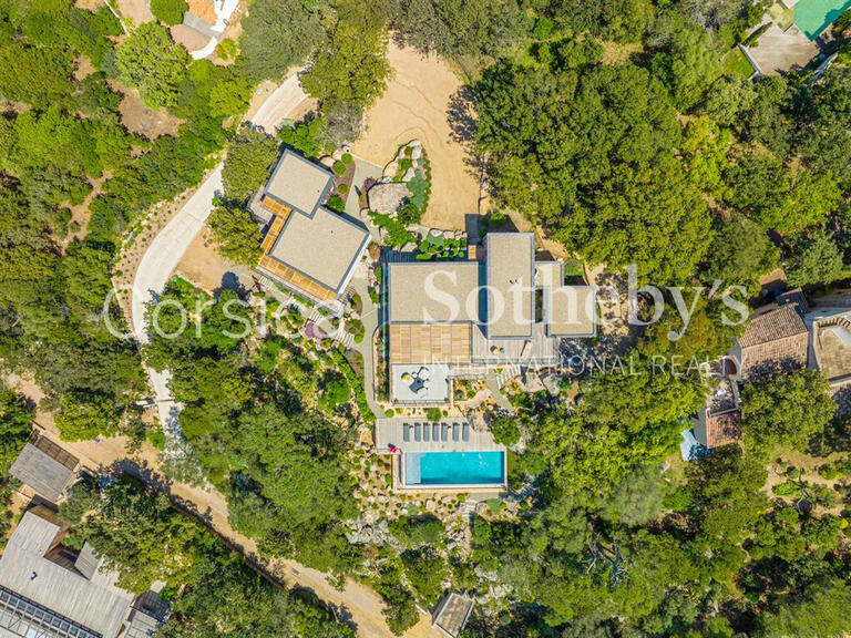 House Porto-Vecchio - 6 bedrooms - 450m²