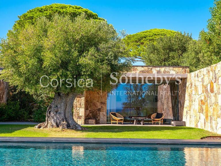 House Porto-Vecchio - 6 bedrooms - 470m²