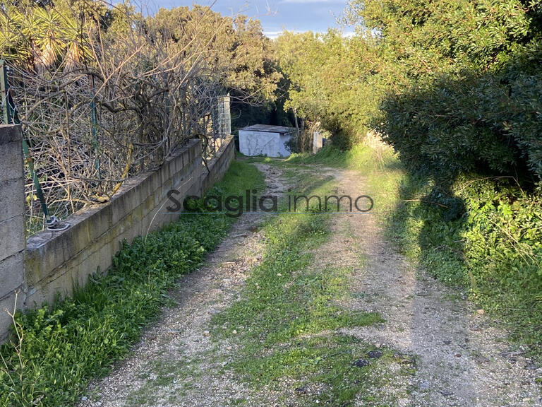 Terrain Porto-Vecchio - 1017m²