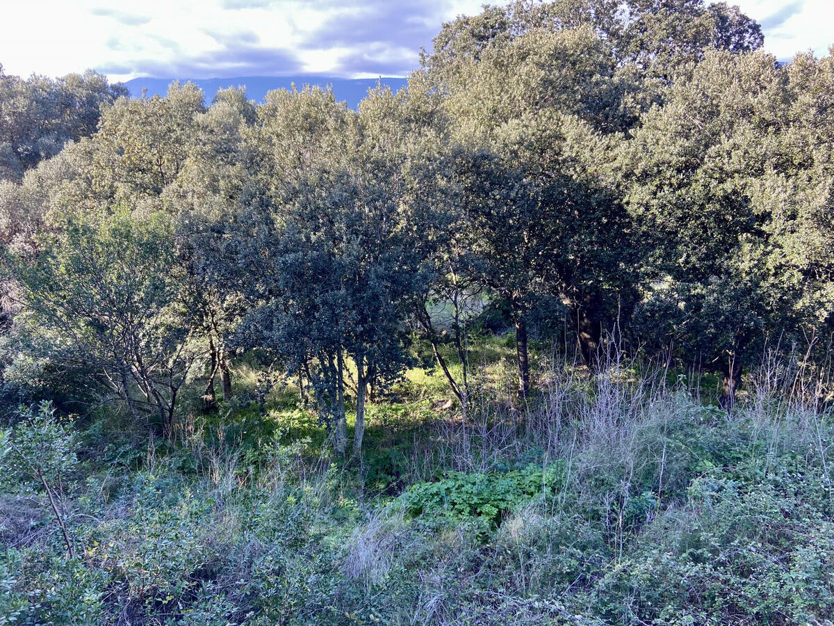 Land Porto-Vecchio