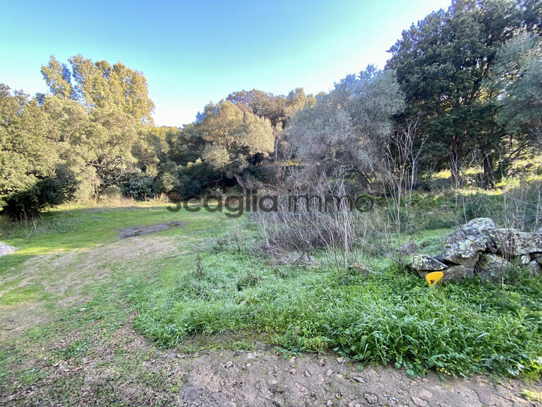 Terrain Porto-Vecchio - 1017m²