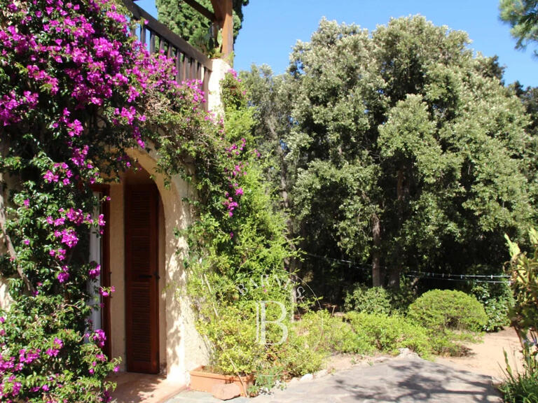 Villa Porto-Vecchio - 5 chambres - 250m²