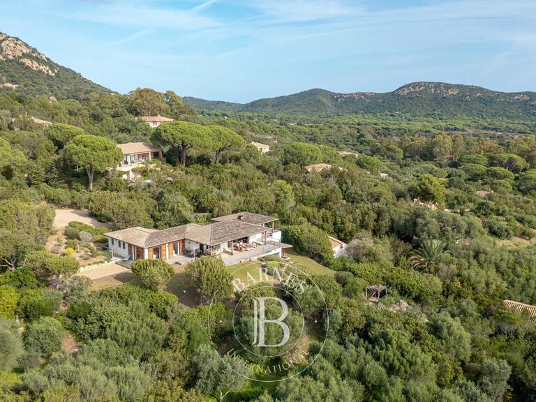 Villa Porto-Vecchio - 7 chambres - 230m²