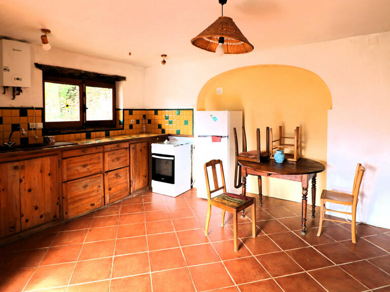 Vente Maison Prades - 7 chambres