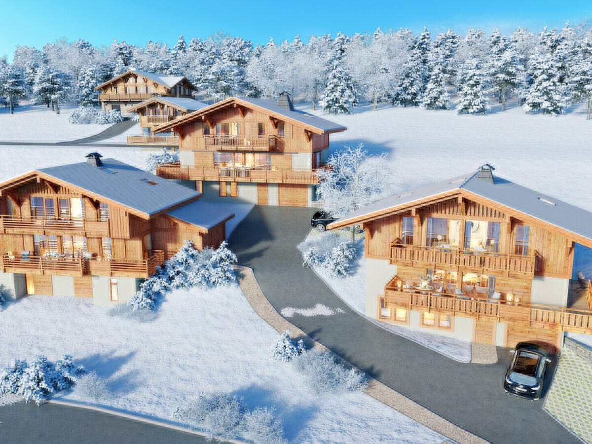 Chalet Praz-sur-Arly