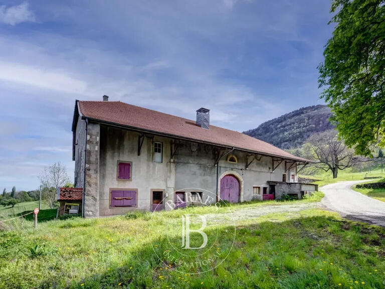 Unusual property Présilly - 4 bedrooms - 655m²