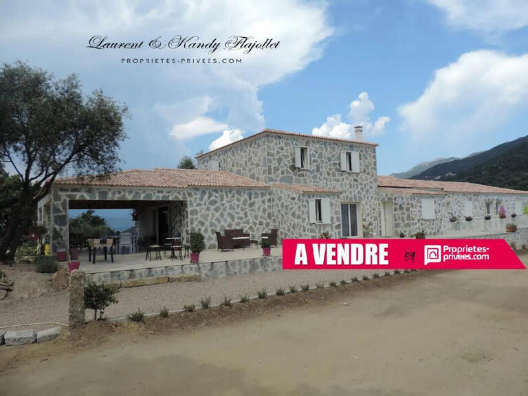 House Propriano - 10 bedrooms