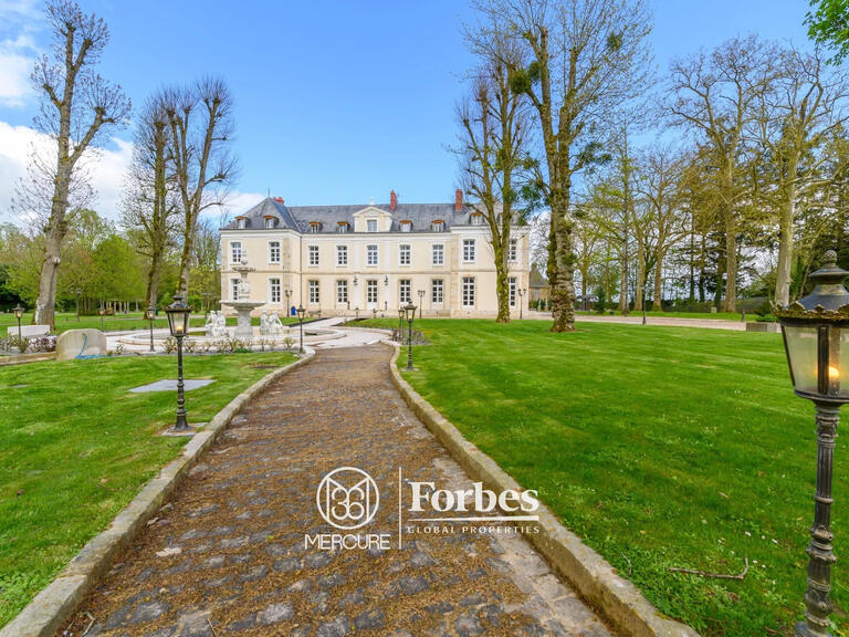 Castle Provins - 9 bedrooms - 1150m²