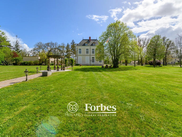 Château Provins - 9 chambres - 1150m²