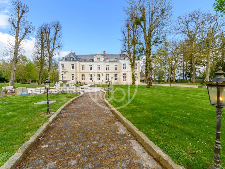 Château Provins - 9 chambres - 1150m²