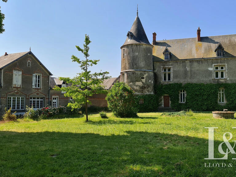 Château Pussay - 6 chambres - 297m²