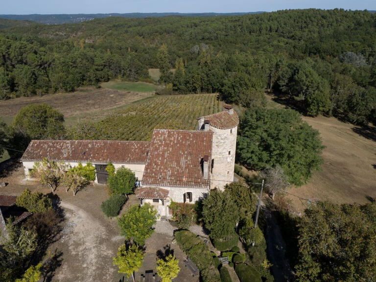 Sale Castle Puy-l'Évêque - 6 bedrooms