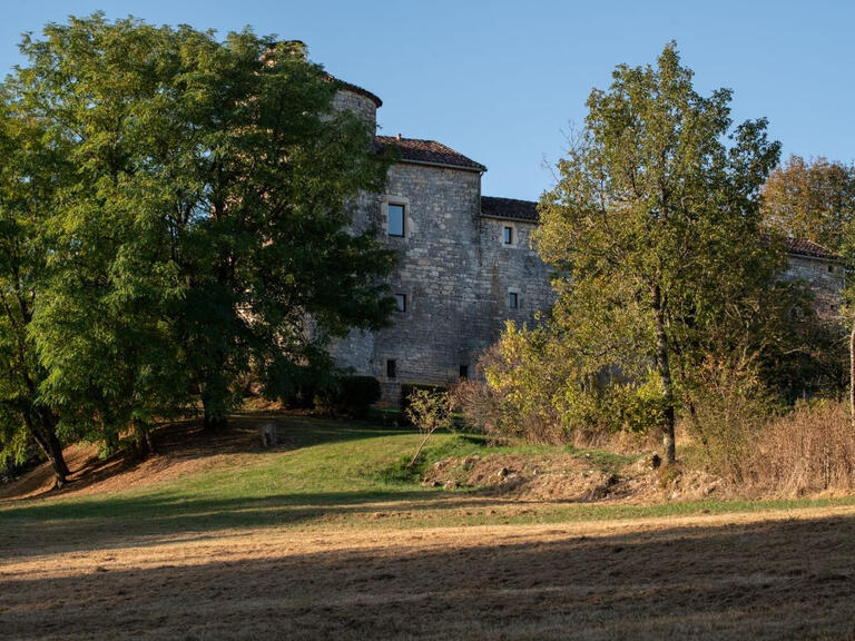 Vente Château Puy-l'Évêque - 6 chambres