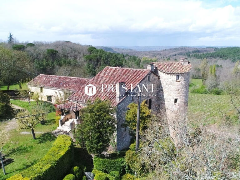 Vente Château Puy-l'Évêque - 6 chambres