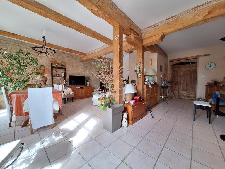 Maison Puylaurens - 9 chambres - 491m²