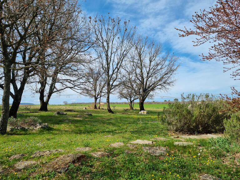 Vente Maison Quinson - 14 chambres