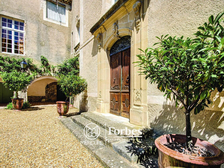 Castle Ribaute-les-Tavernes - 15 bedrooms - 1200m²