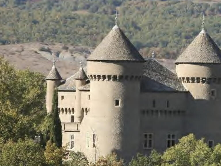 Vente Château Rivière-sur-Tarn - 8 chambres