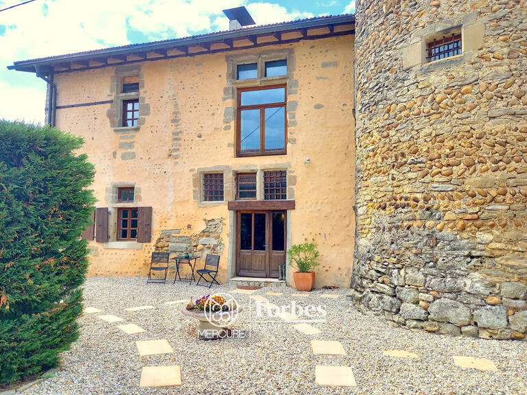 Property Romans-sur-Isère - 6 bedrooms - 500m²