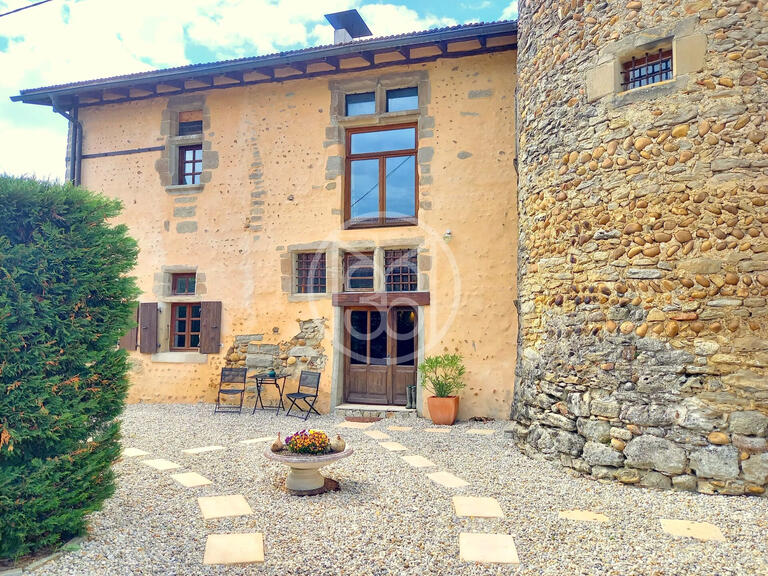 Propriété Romans-sur-Isère - 6 chambres - 500m²