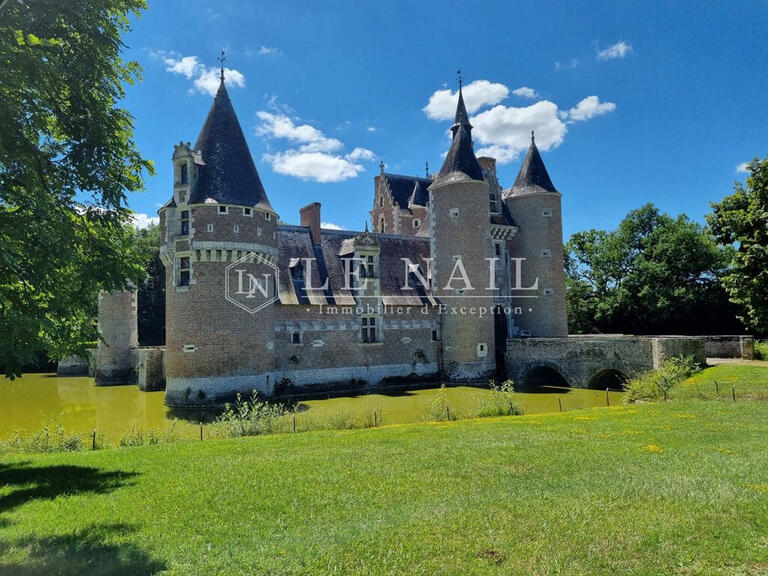 Vente Château Romorantin-Lanthenay - 6 chambres