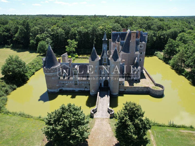 Vente Château Romorantin-Lanthenay - 6 chambres
