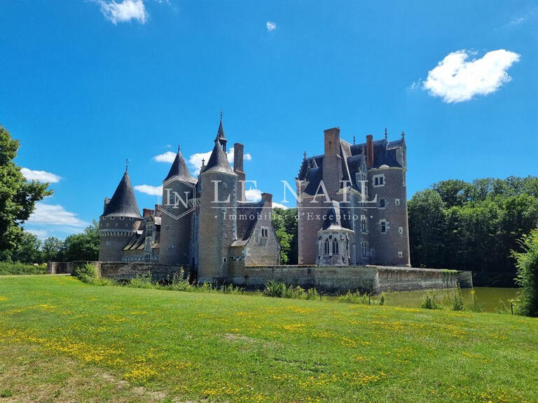 Vente Château Romorantin-Lanthenay - 6 chambres