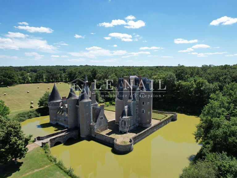 Vente Château Romorantin-Lanthenay - 6 chambres