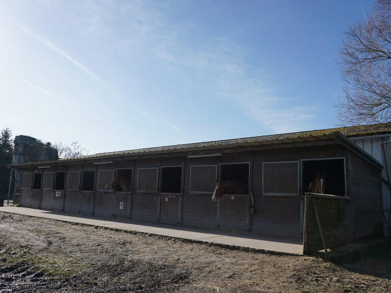 Sale House Romorantin-Lanthenay