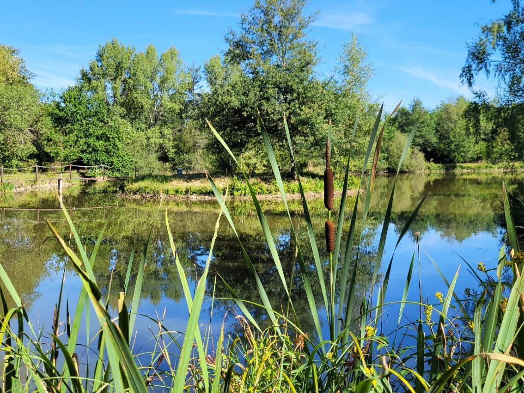 Propriété Romorantin-Lanthenay