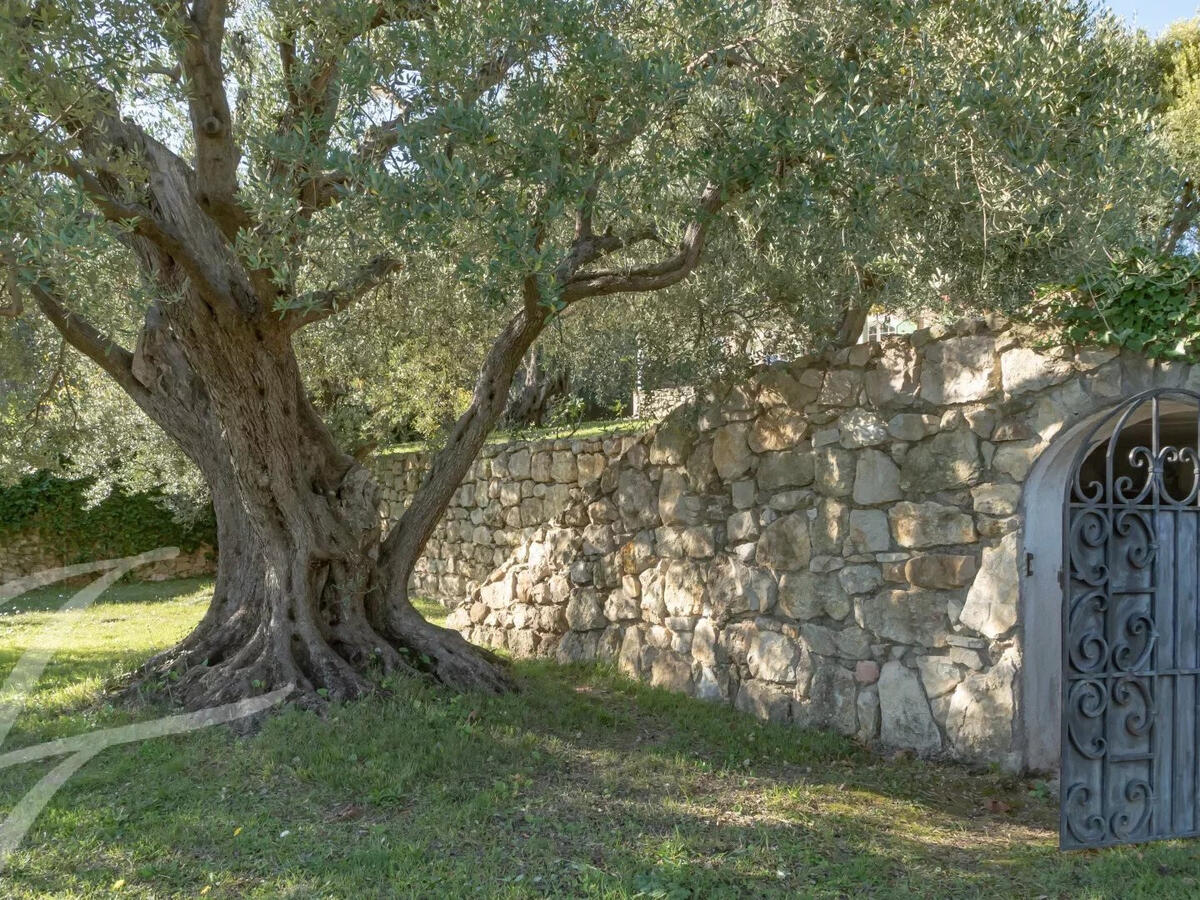 Villa Roquebrune-Cap-Martin