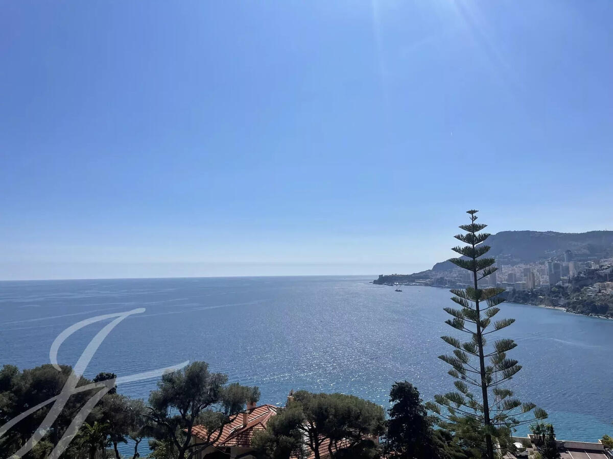 Villa Roquebrune-Cap-Martin