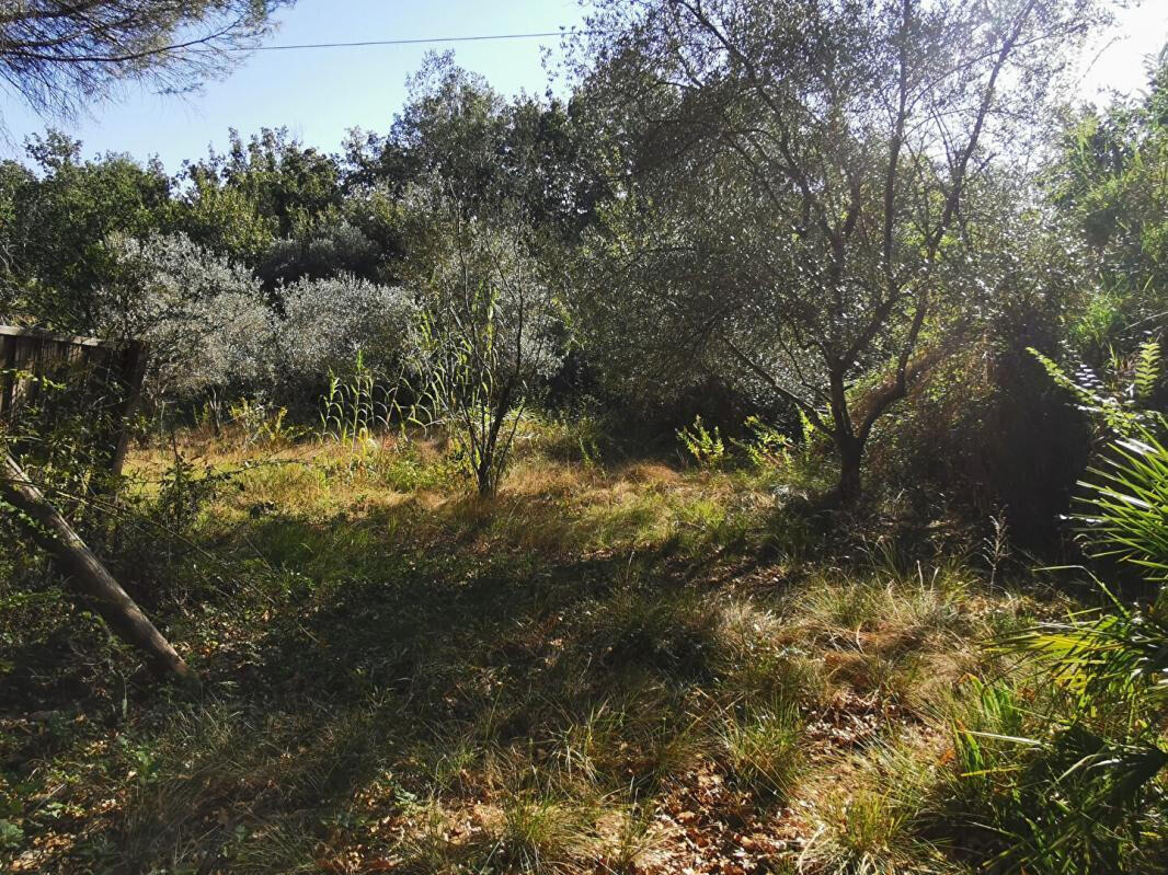 Maison Roquebrune-sur-Argens