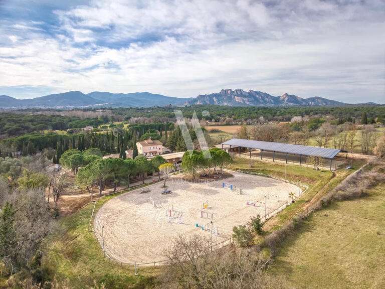 Vente Propriété équestre Roquebrune-sur-Argens - 10 chambres