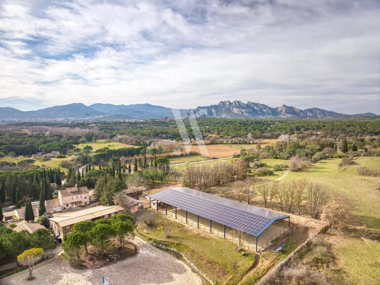 Vente Propriété équestre Roquebrune-sur-Argens - 10 chambres