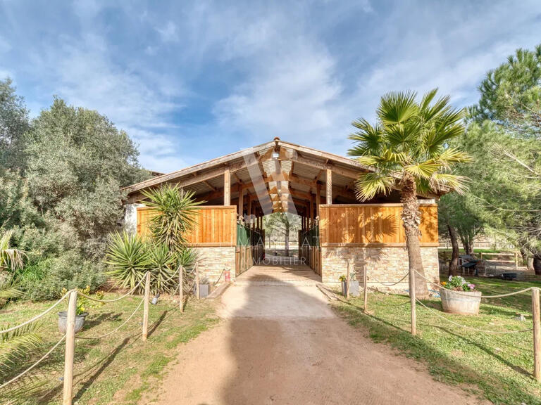 Vente Propriété équestre Roquebrune-sur-Argens - 10 chambres