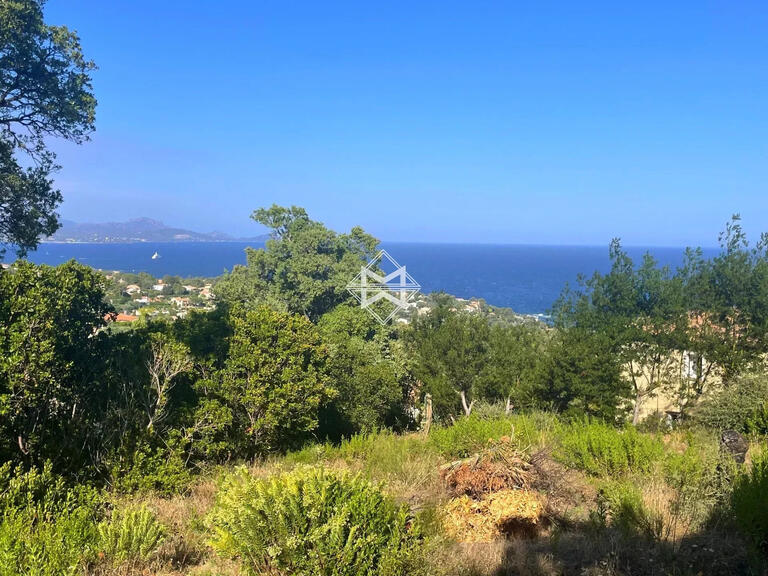 Land Roquebrune-sur-Argens - 1826m²