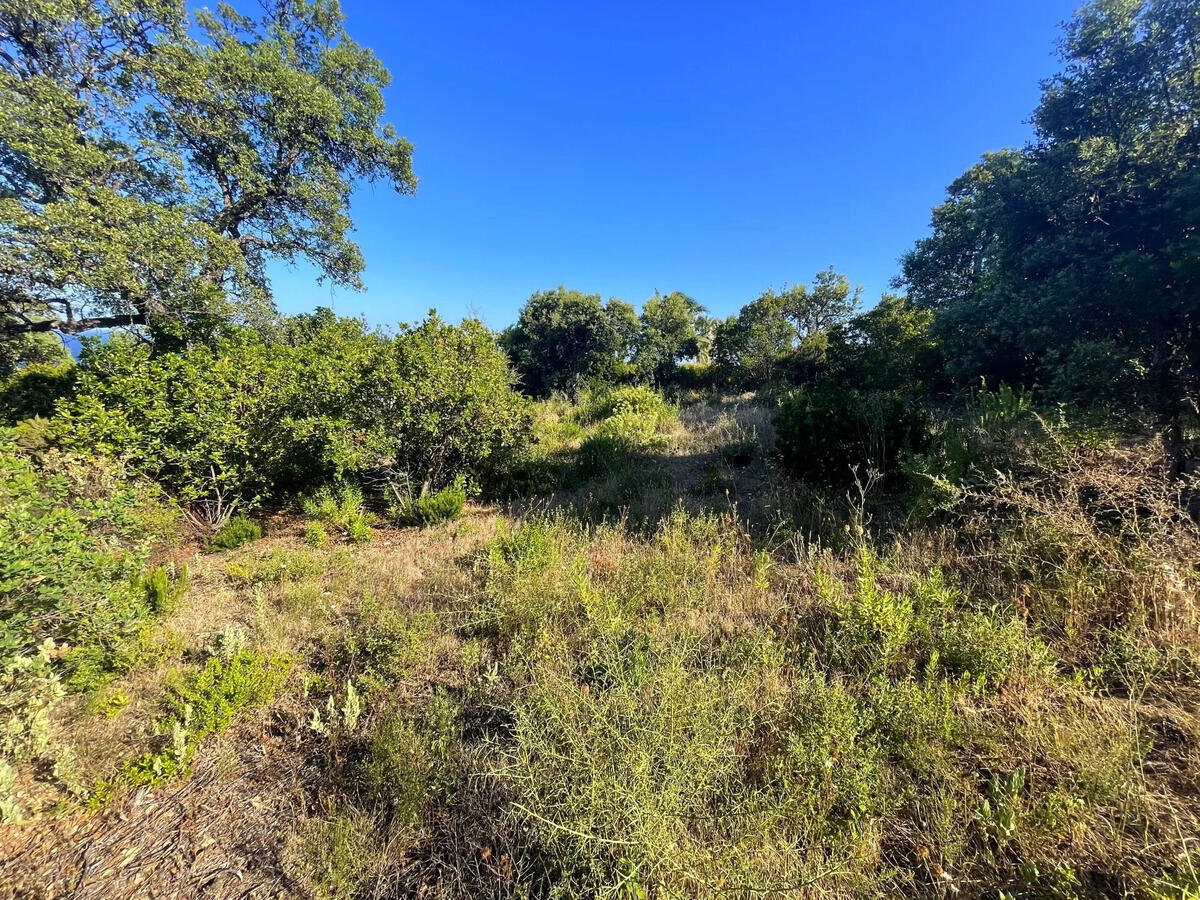 Terrain Roquebrune-sur-Argens